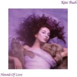 Hounds Of Love