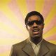 Stevie Wonder