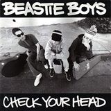 Check Your Head