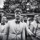 The Hives