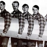 The Beach Boys
