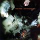Disintegration
